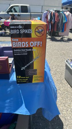 Bird Spikes