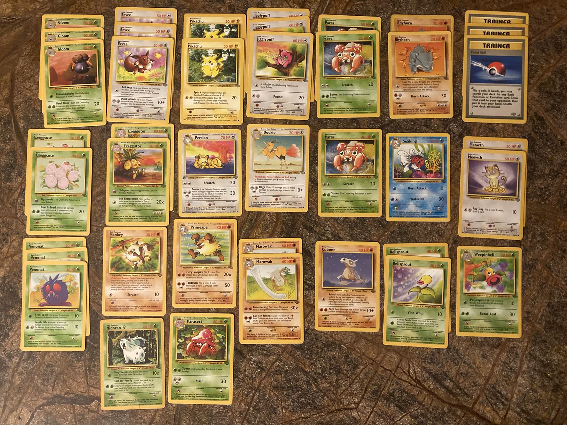 Set Of Jungle Pokémon 1st Editions 