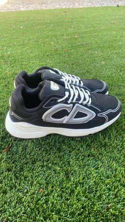 Dior b30