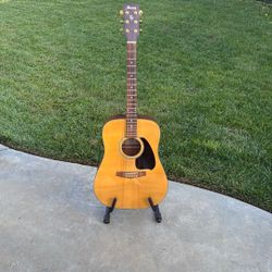 Acoustic Ibanez