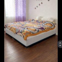 Low-Profile Mattress / Box Spring 