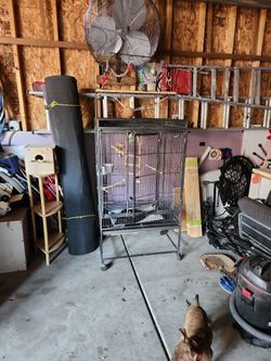 Birds Cage