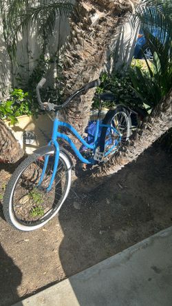 Beach cruiser