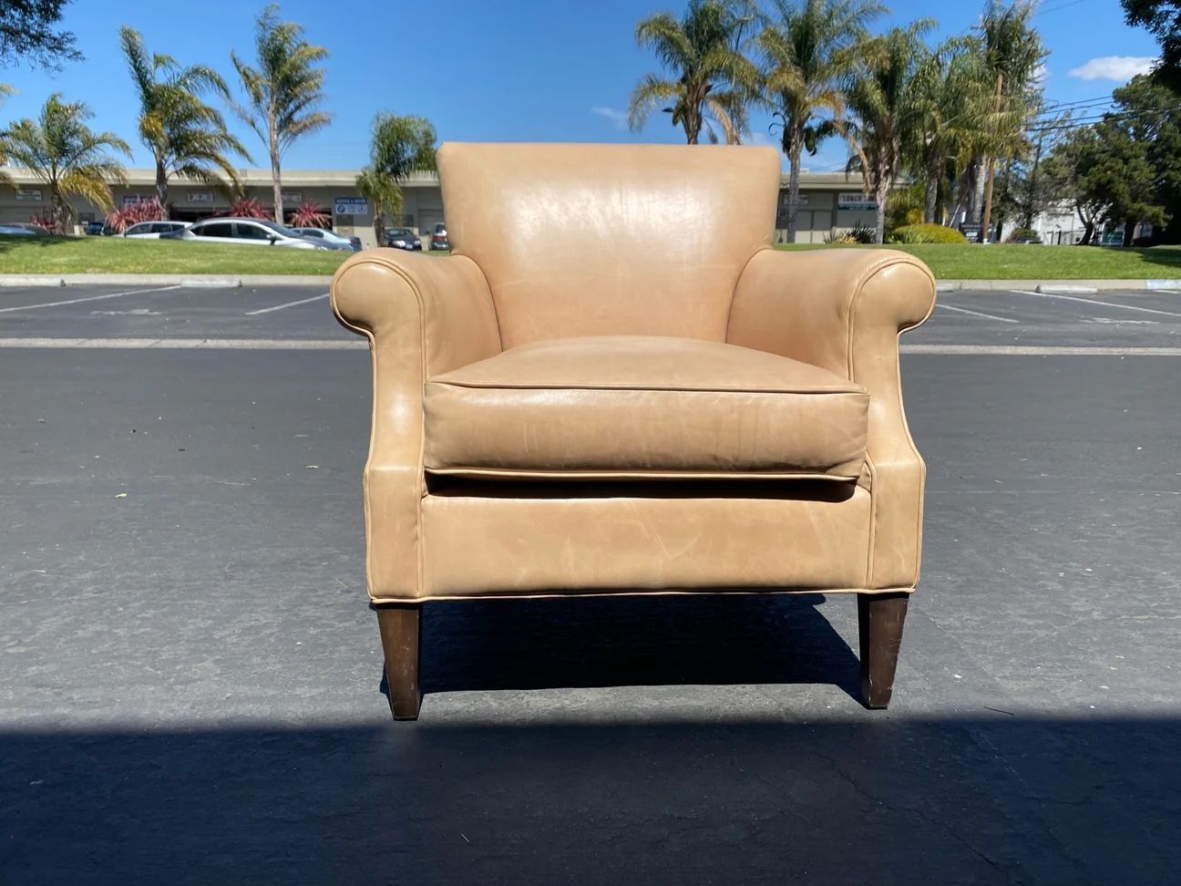 Crate & Barrel Elyse Leather Arm Chair in Beige