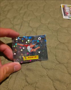 Panini 00 sticker