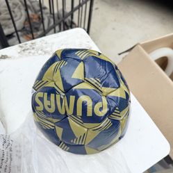 9 Dollars New Soccer Ball Toy 