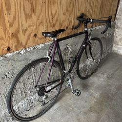 Trek Road Bike 