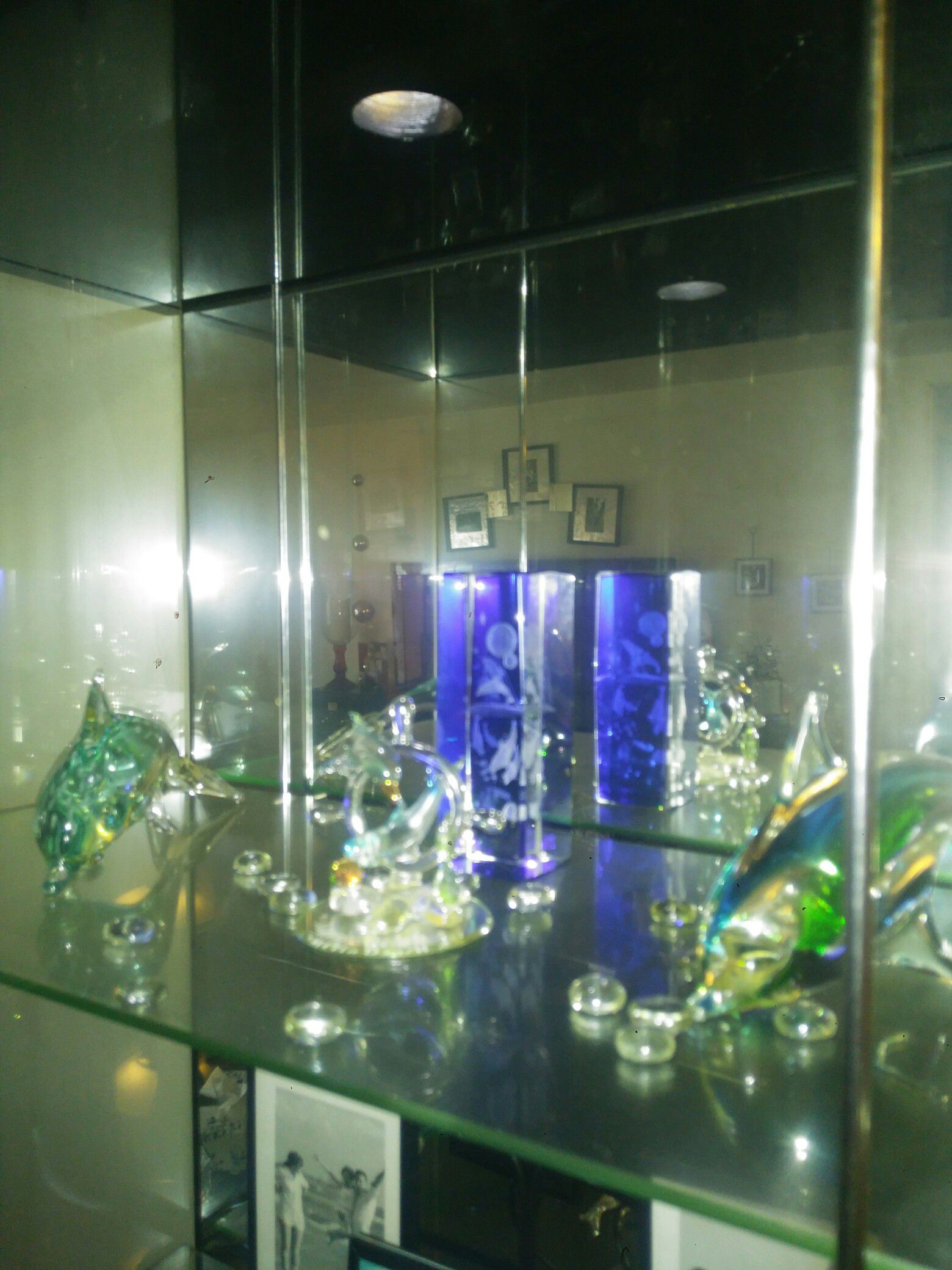 All Glass dolphins