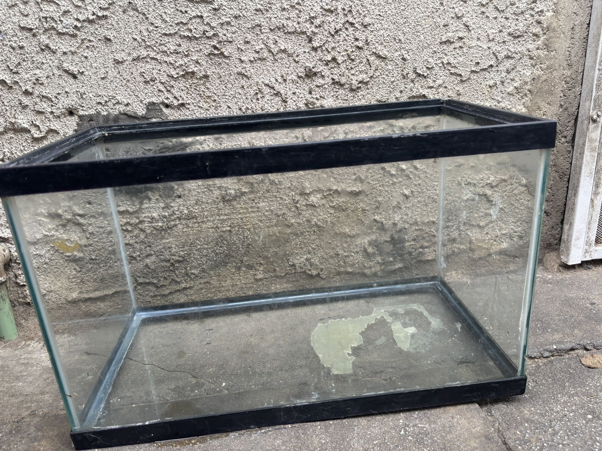 10 Gallon Tank 