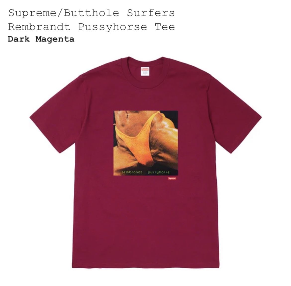 Supreme X Butt Hole Surfers Collaboration Tee