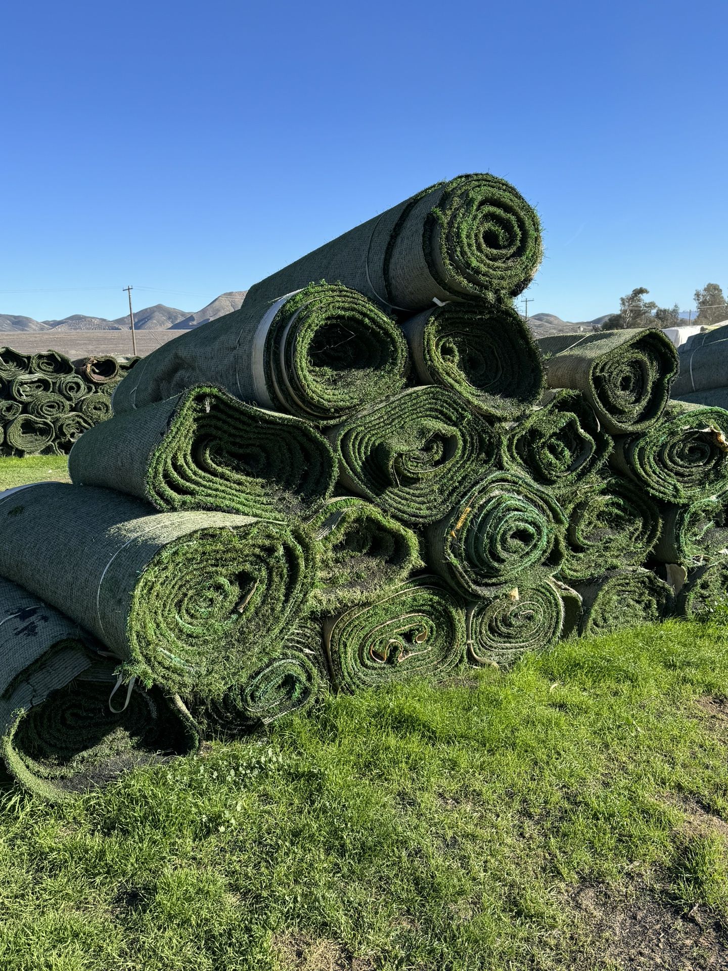 TURF ROLLS - $75 (Artificial Grass)
