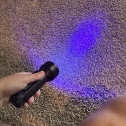 black light flashlight