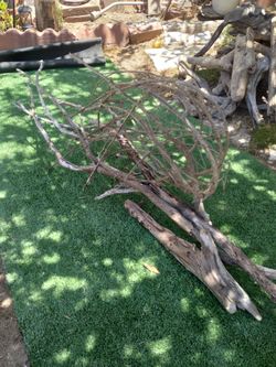 4 pieces of driftwood aquariums terrariums decor