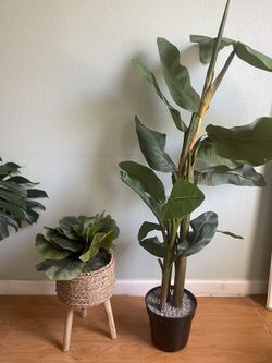 Faux Indoor Plants