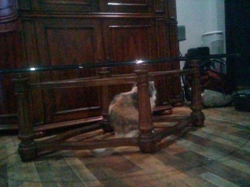 Glass Top Coffee Table