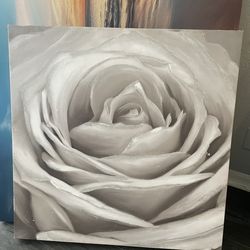 White Rose Canvas