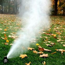 Sprinkler Blowouts