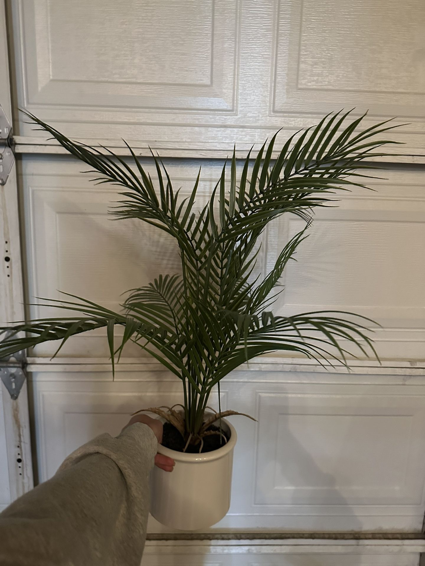 Fake Plant