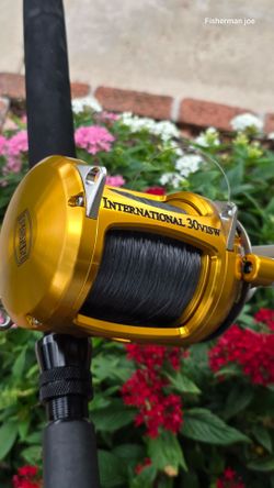 Penn International 30VISW Reel/New Lines/Custom Rod