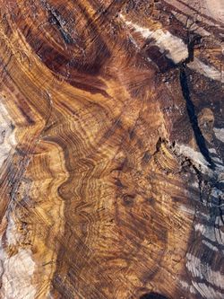 Burly Black Walnut