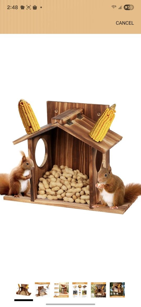 Squirrel Feeder