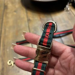 GG Collar & Leash - Size Small