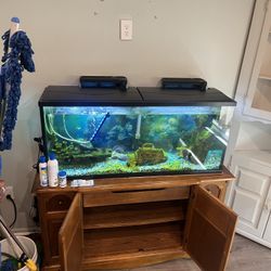 Fish Tank With Fish FOR SALE