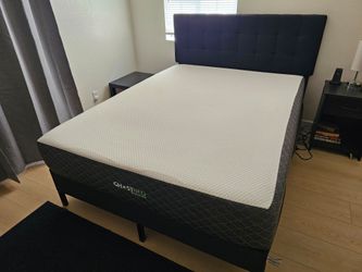 Queen Sized Bed w/ Frame & Headboard