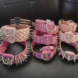 Dog Collars