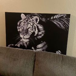 Tiger Canvas