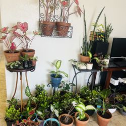 Plans For Sale 20 Each 