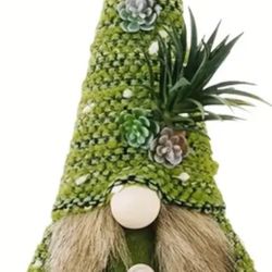 Succulent Gnomes