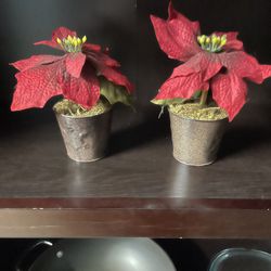 About 7” High Silk Poinsettias