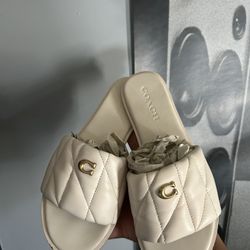 Coach Slides 