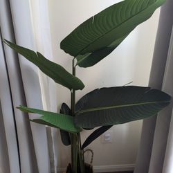 Artificial Bird Of Paradise Plant