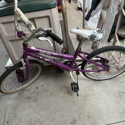 Bike Size 20