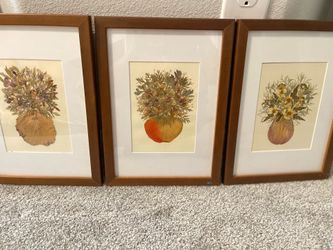 Framed Pressed Matted Flowers