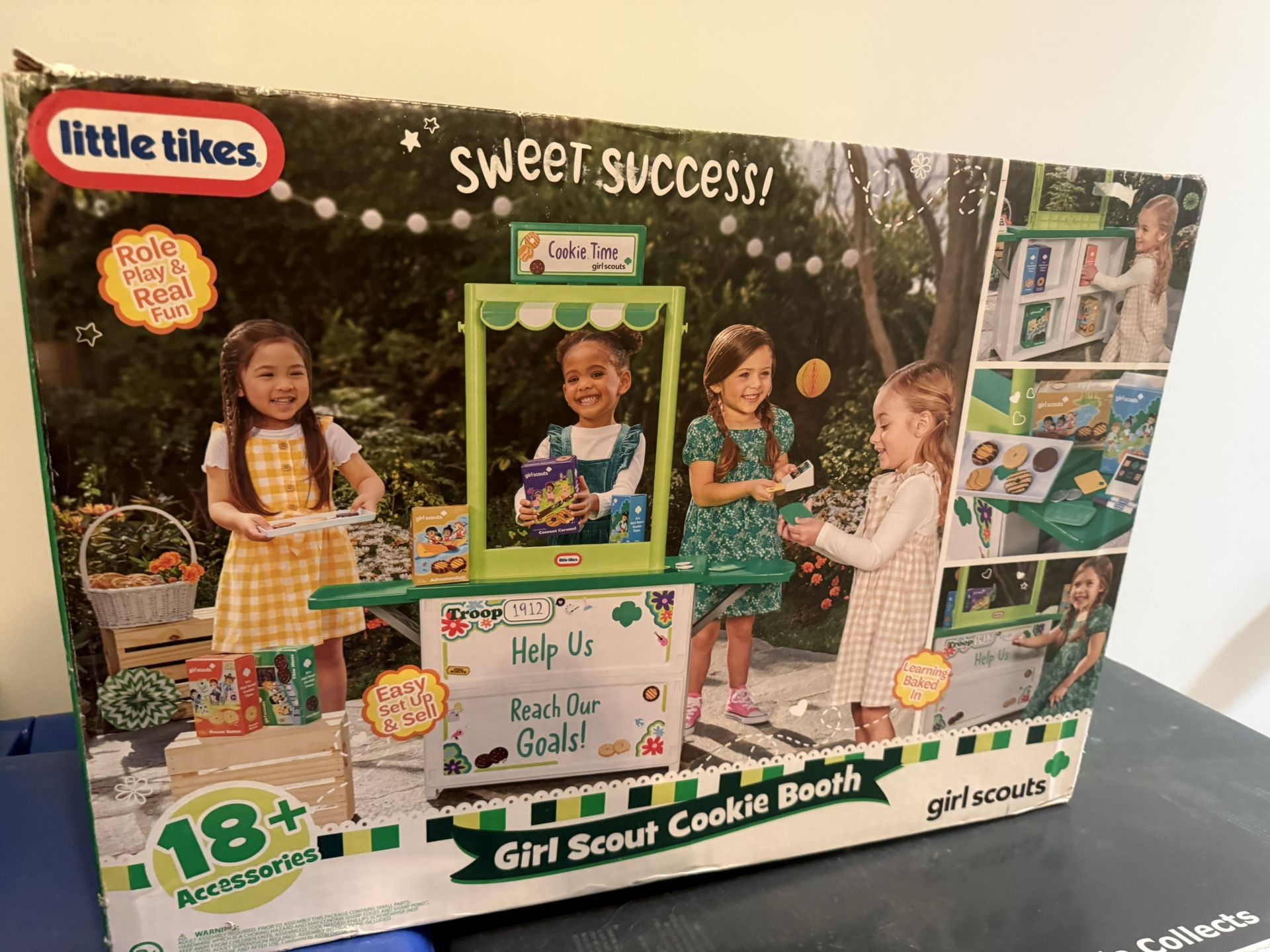 Girl Scout Cookie Stand
