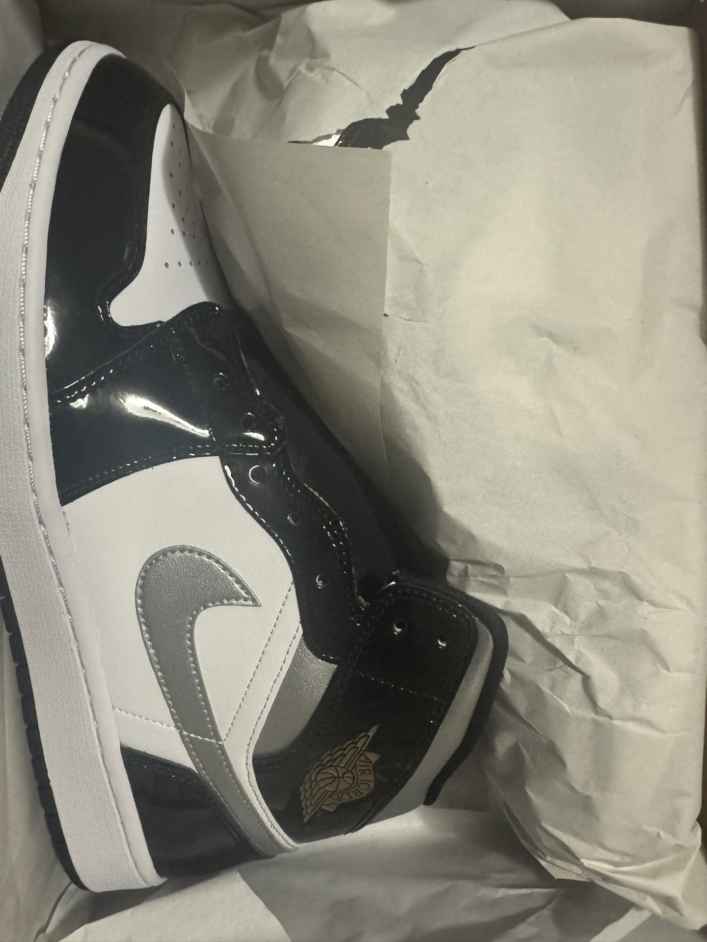 Jordan 1 Size 12