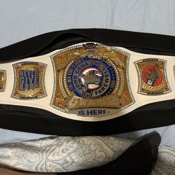 WWE John Cena Spinner Belt Title Belt. (last Time Is Now LA Belt) 
