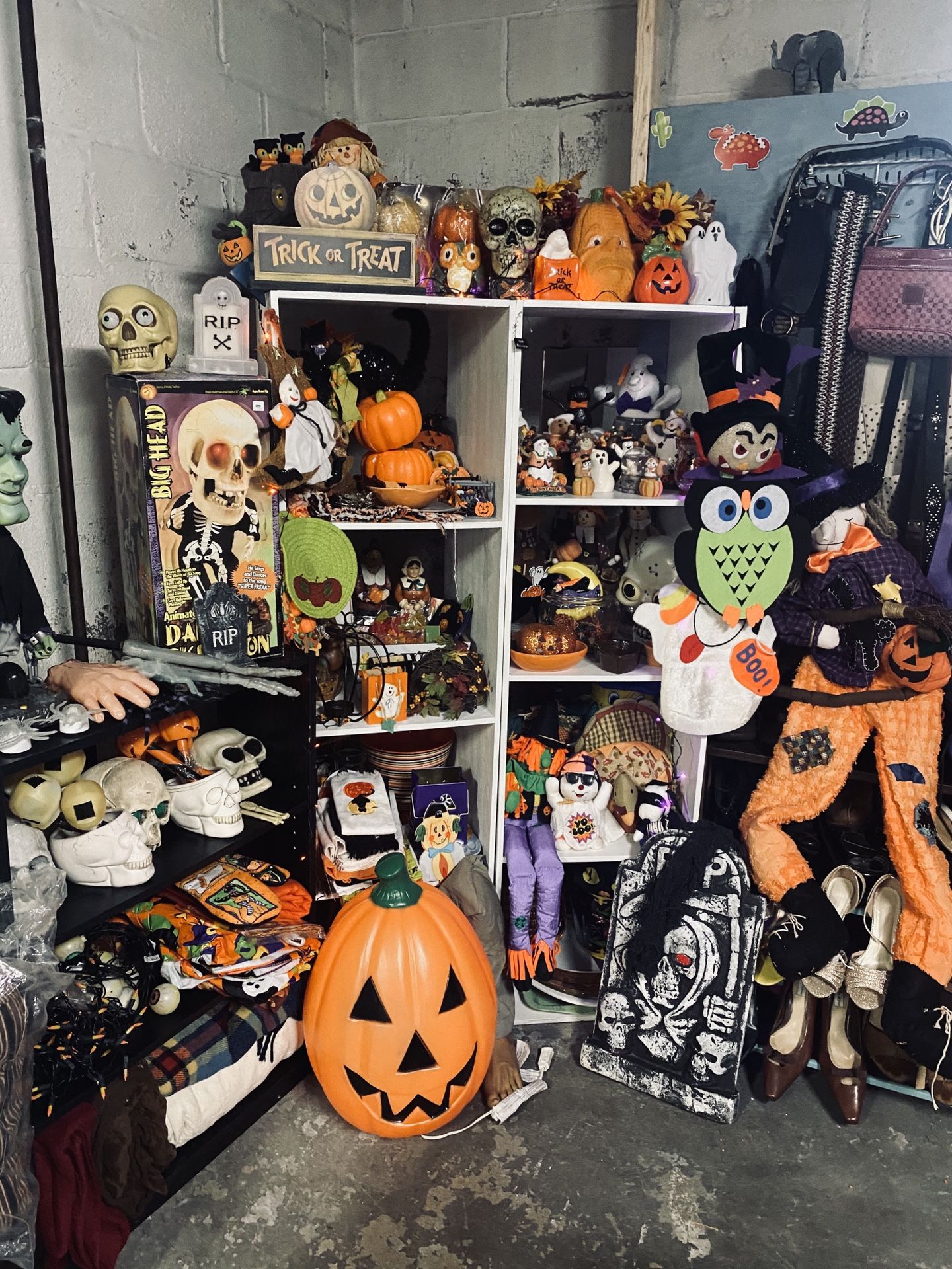 Fall and Halloween decor