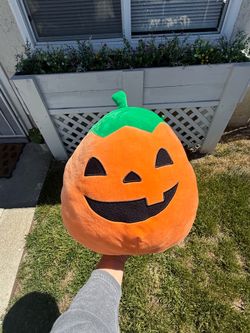Orange Pumpkin Squish mellow