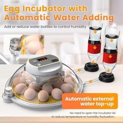 Brand New Incubators for Hatching Eggs - Holds 18 Eggs & 60 Quail Eggs - Egg Incubator with Automatic Egg Turning and Humidity Control - Egg Candler