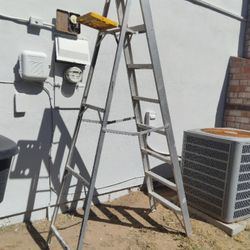 12 Ft Ladder 