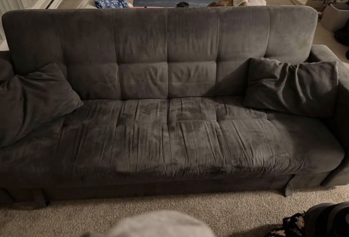 Gray Sleeper Couch With Two Pillows
