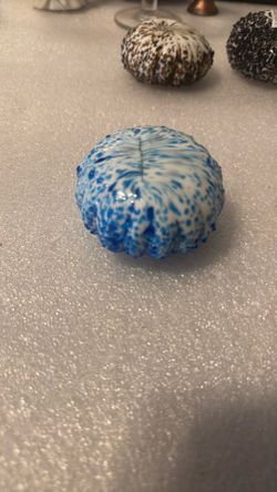 Art Glass Sea Urchin Figurine Coastal Beach Decor White Blue Speckled