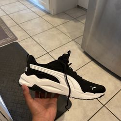 Addias Shoe