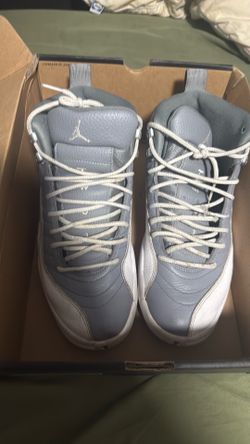 Jordan 12 retro stealth 10.5