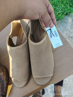 Size 12 Shoe