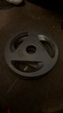 25lbs plates
